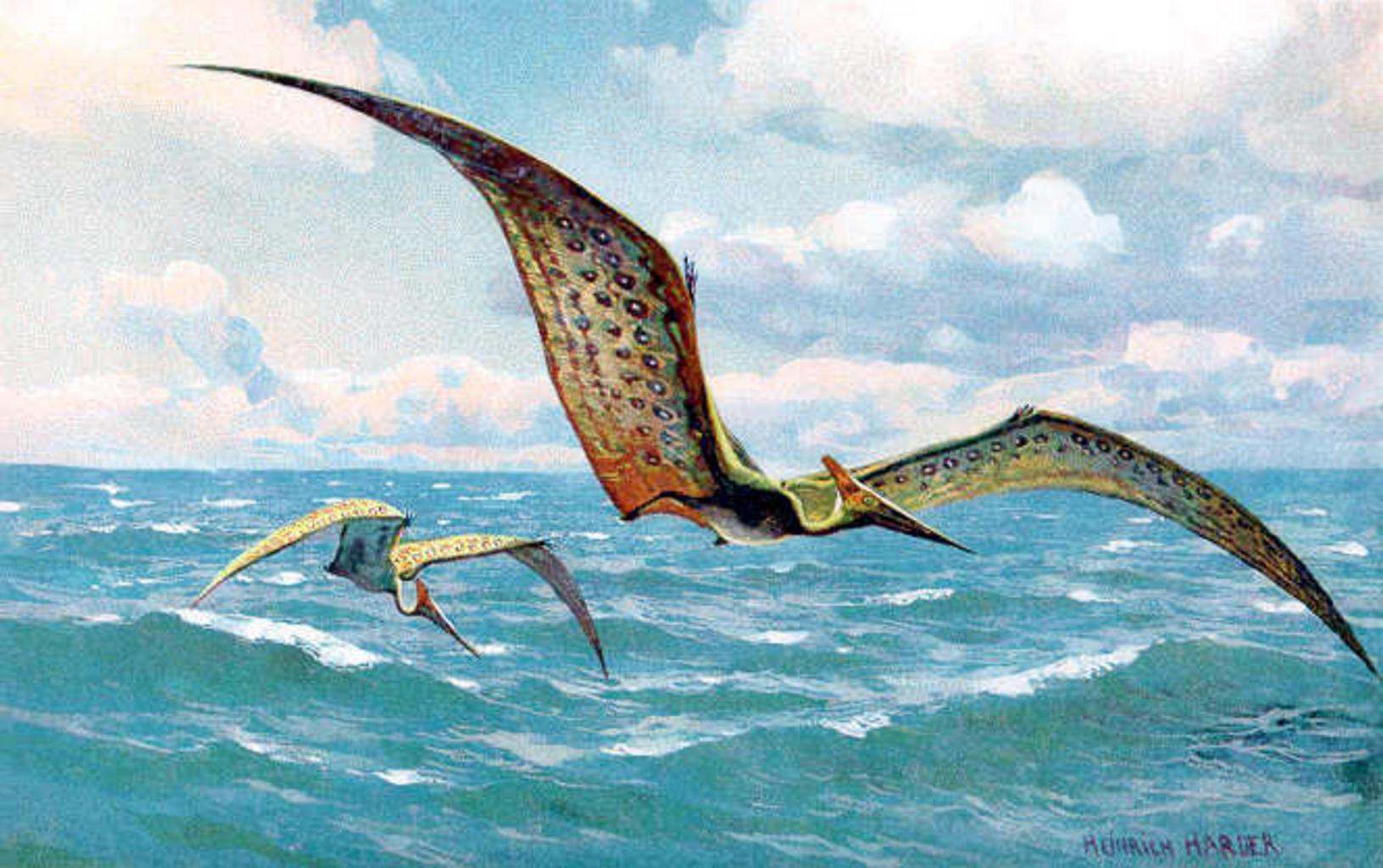 dino pteranodon