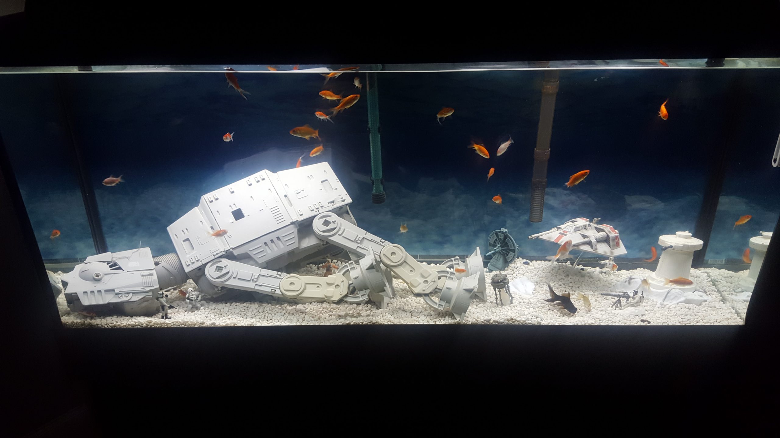 Star Wars Themed Fish Tanks/Vivariums Are The Newest Trend