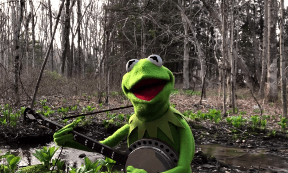 Kermit The Frog Gives Us A Special Performance Of Rainbow Connection special performance of rainbow connection