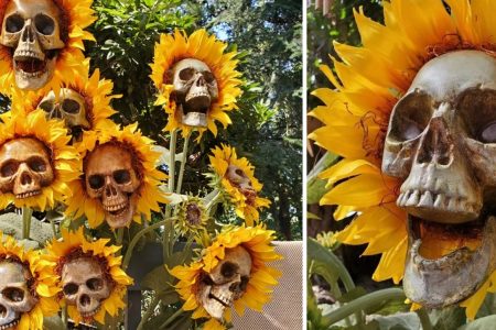 These Diy Skull Sunflowers Are Perfect For A Spooky Garden Nerdbot