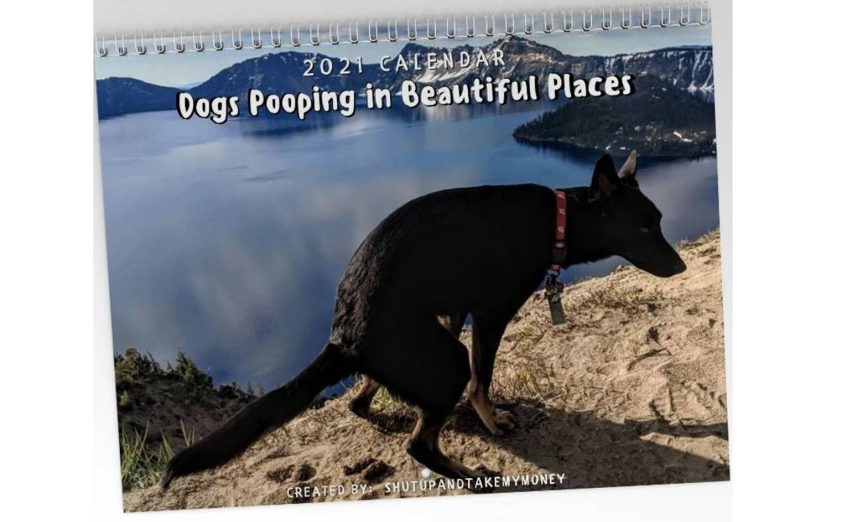 Dogs Pooping In Beautiful Places Calendar Out Now