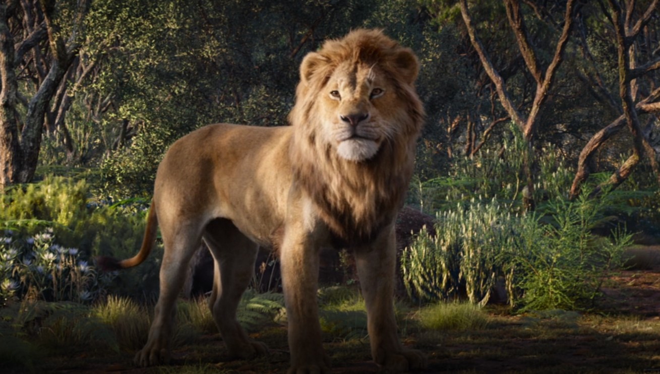 meet-the-lion-king-live-action-simba-at-disney-world