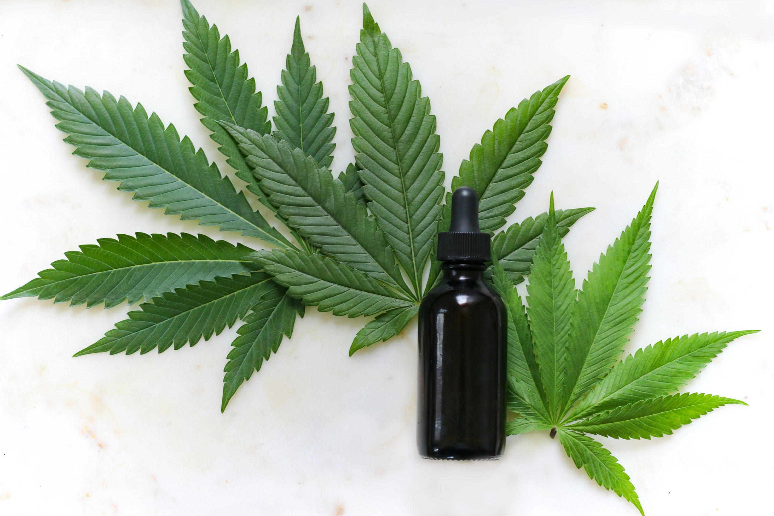 All You Need To Know About The Different Types Of CBD Products NERDBOT