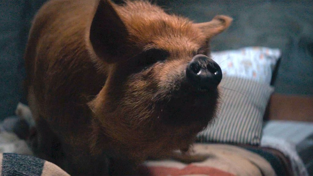 Nicholas Cage&#39;s &quot;Pig&quot; is Superb, Likely with Award Nominations [Review]