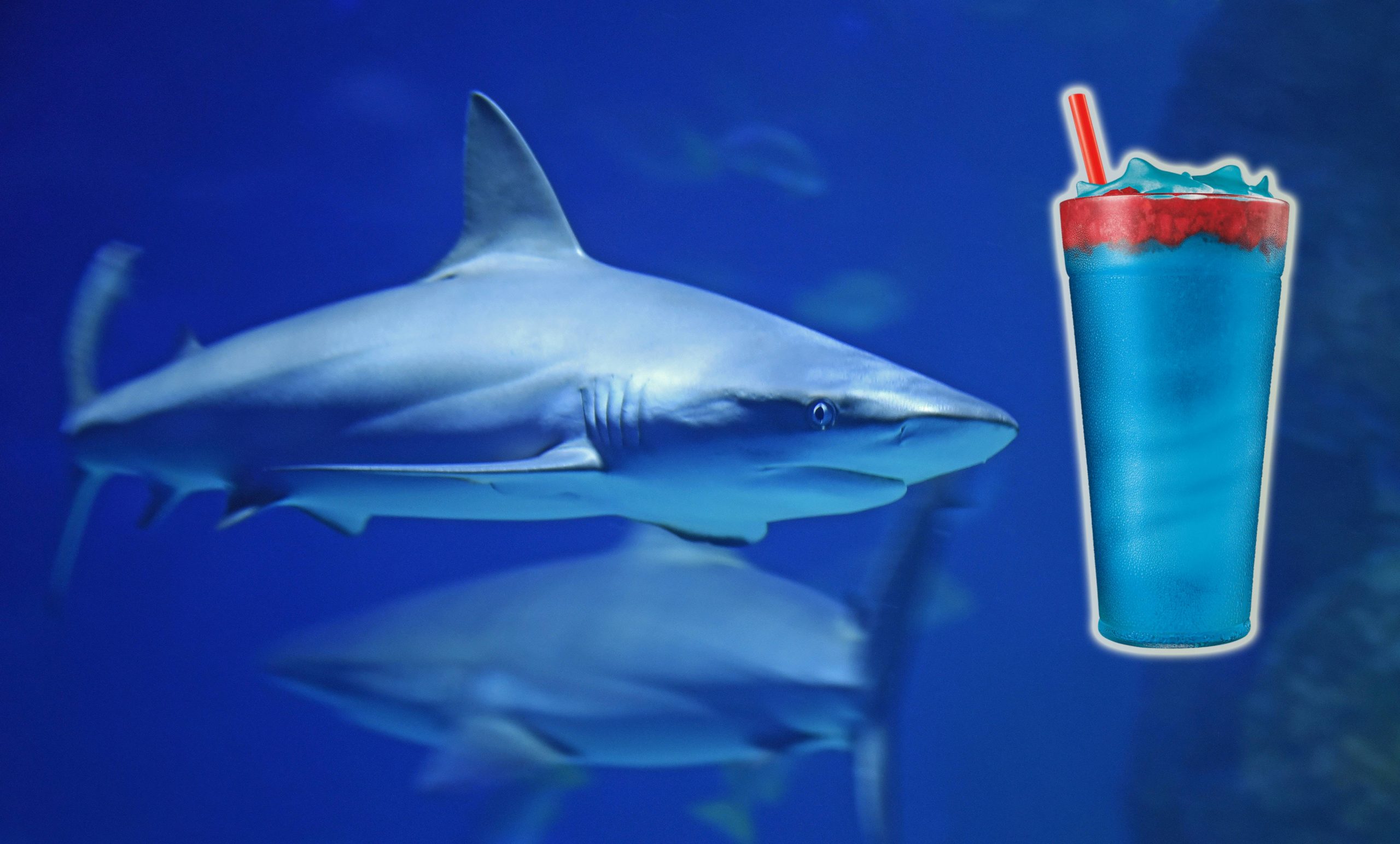Discovery, Sonic Team Up For New Shark Week Slush