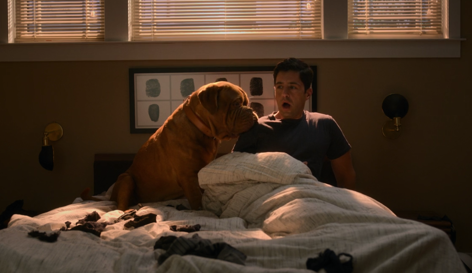 Disney+ "Turner & Hooch" is Off to a Strong Start [Review]