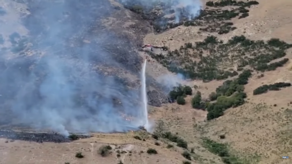 Man Starts 60Acre Wildfire Trying to Burn Spider with Lighter