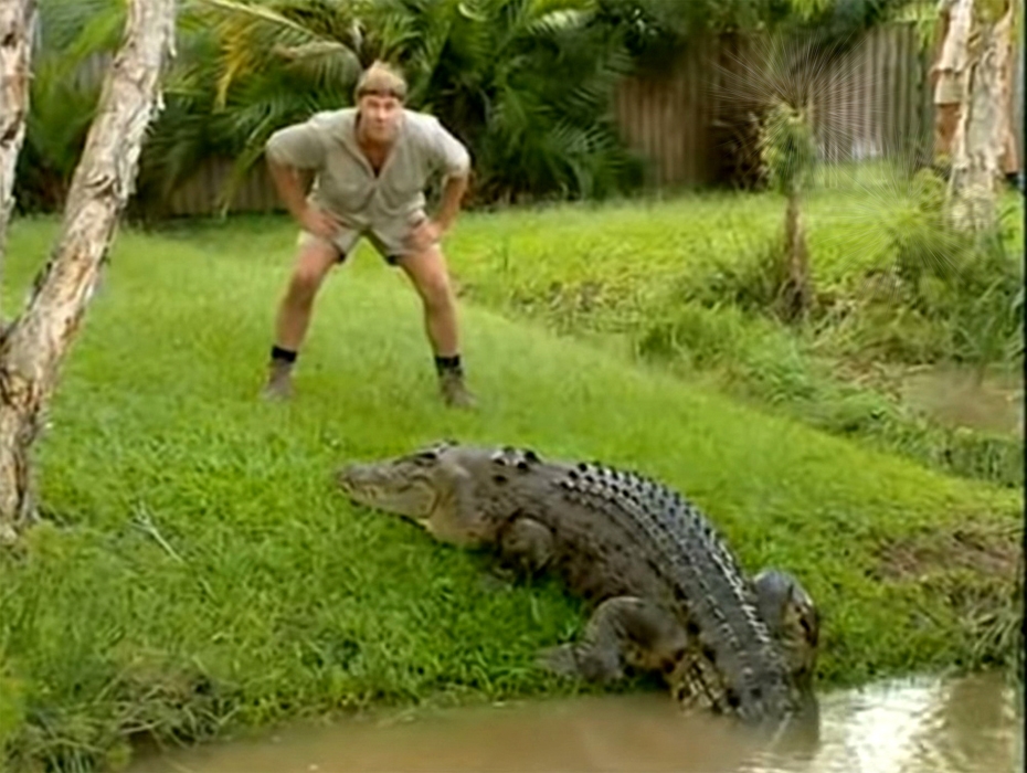 Steve Irwin Crocodile Hunter