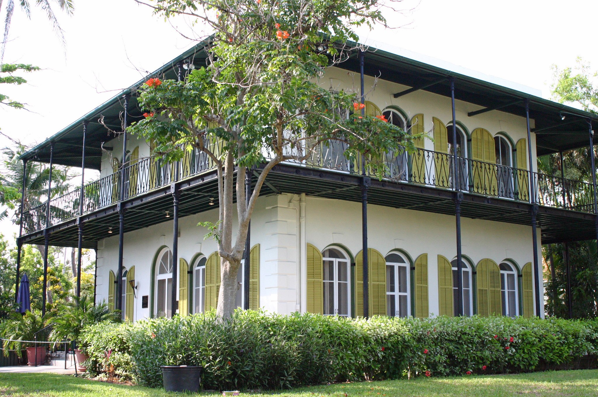 Ernest Hemingway's House Impacted by Hurricane Ian but the Cats are Fine!