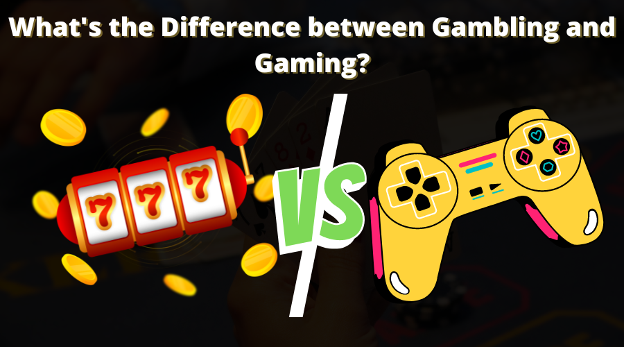 Gambling and Gaming Industry in New Zealand