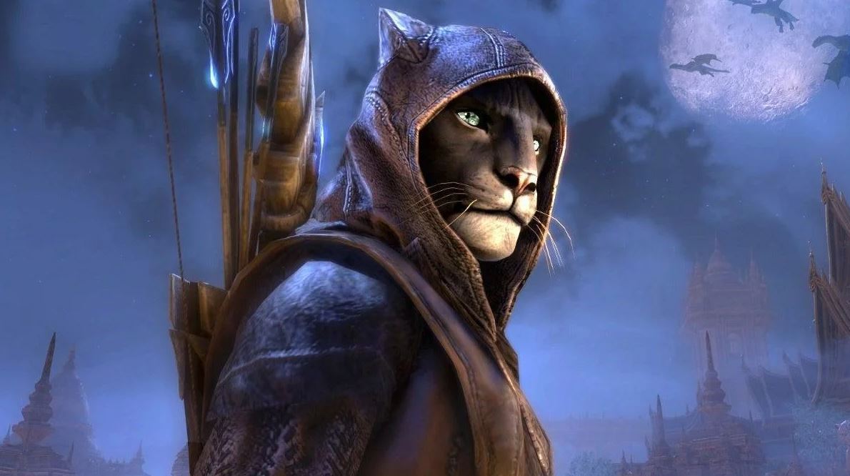 Shocking no one, Todd Howard knows something about The Elder Scrolls 6  release date