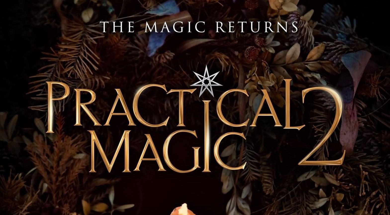 Practical Magic Cover 