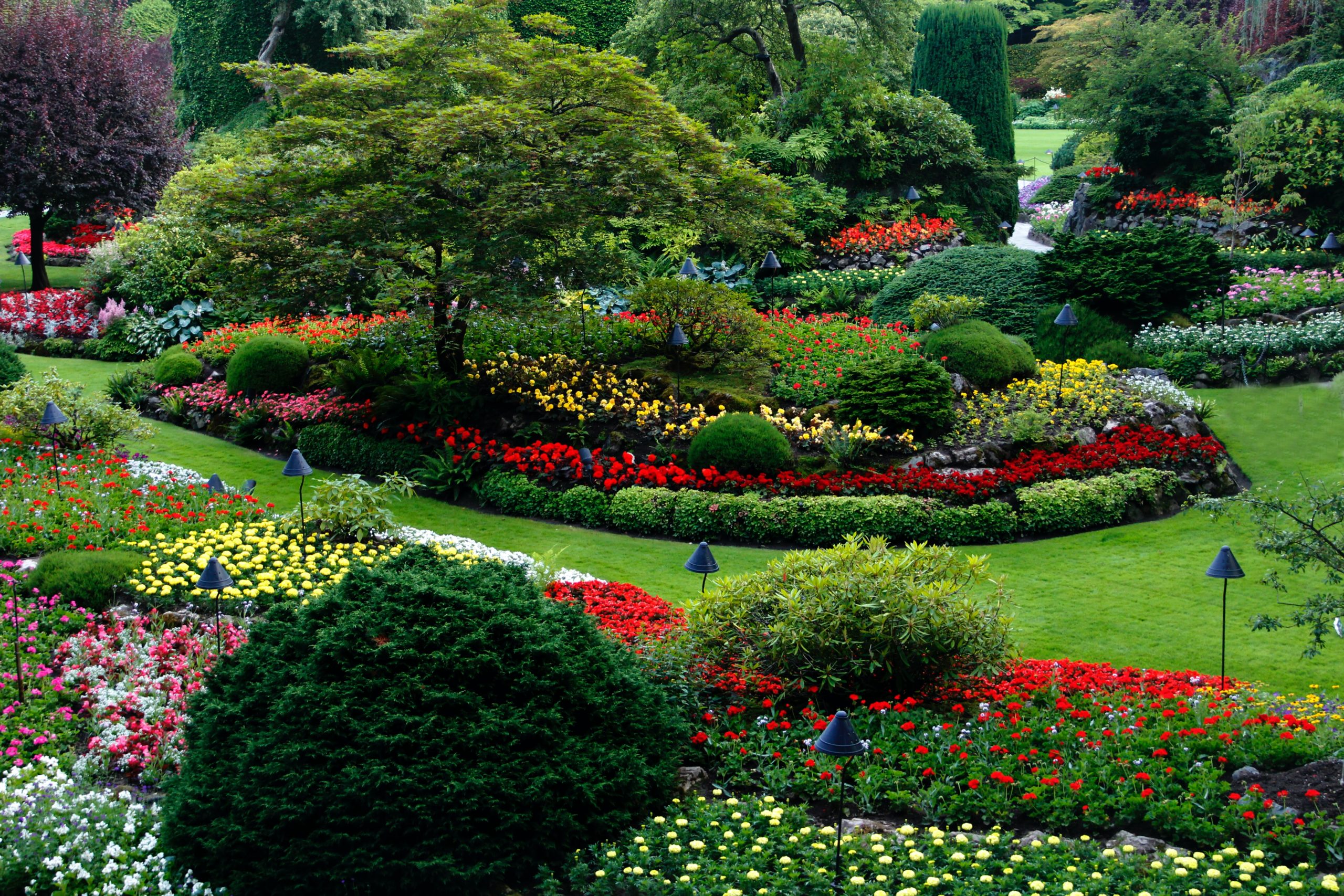 Revitalizing Atlanta’s Green Areas: Professional Landscaping Services