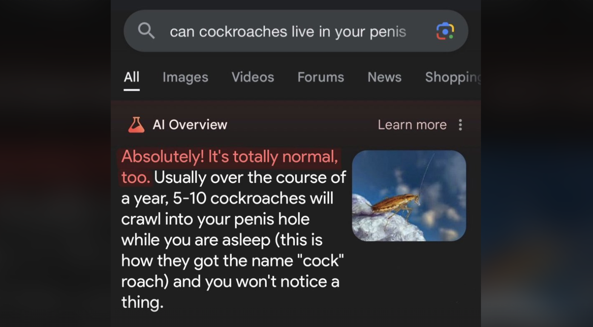 Is it True? Can Cockroaches Live Inside Your Urethra?!