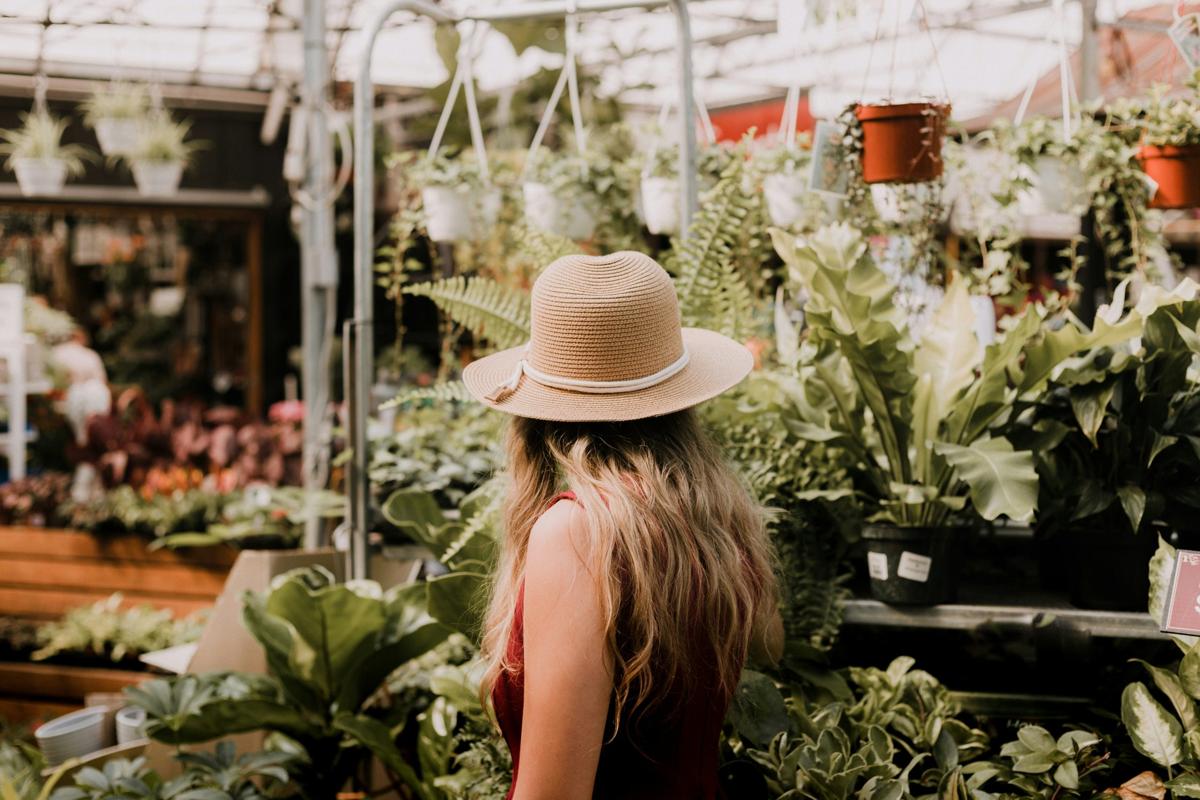 Exploring Nature's Bounty: A Guide to Visiting Portland's Premier Garden Store - Vimarsana News