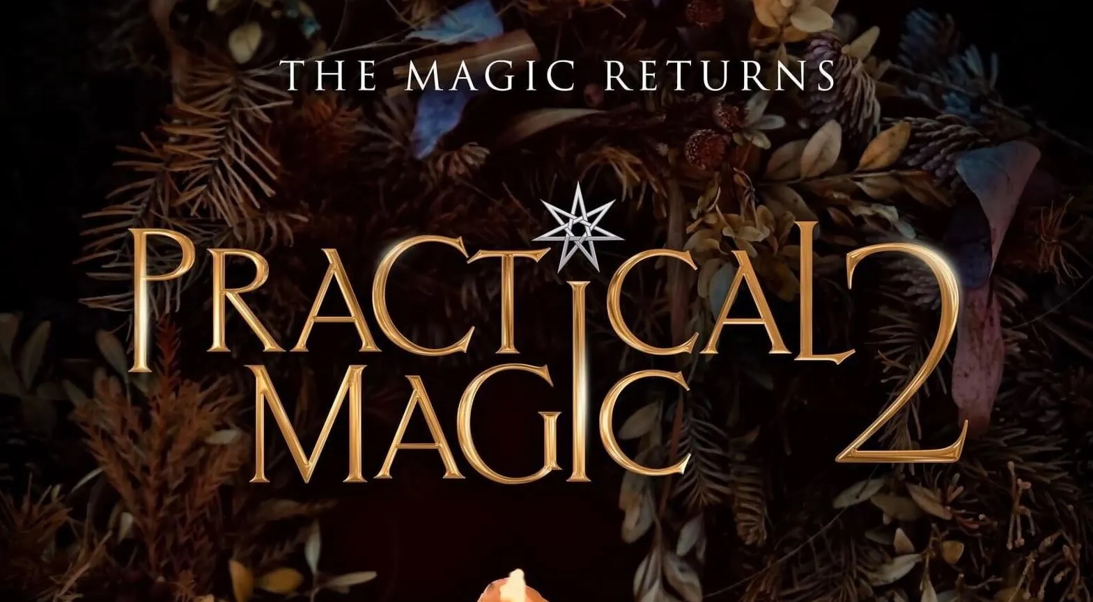 Long-Awaited "Practical Magic 2" Finds its Director