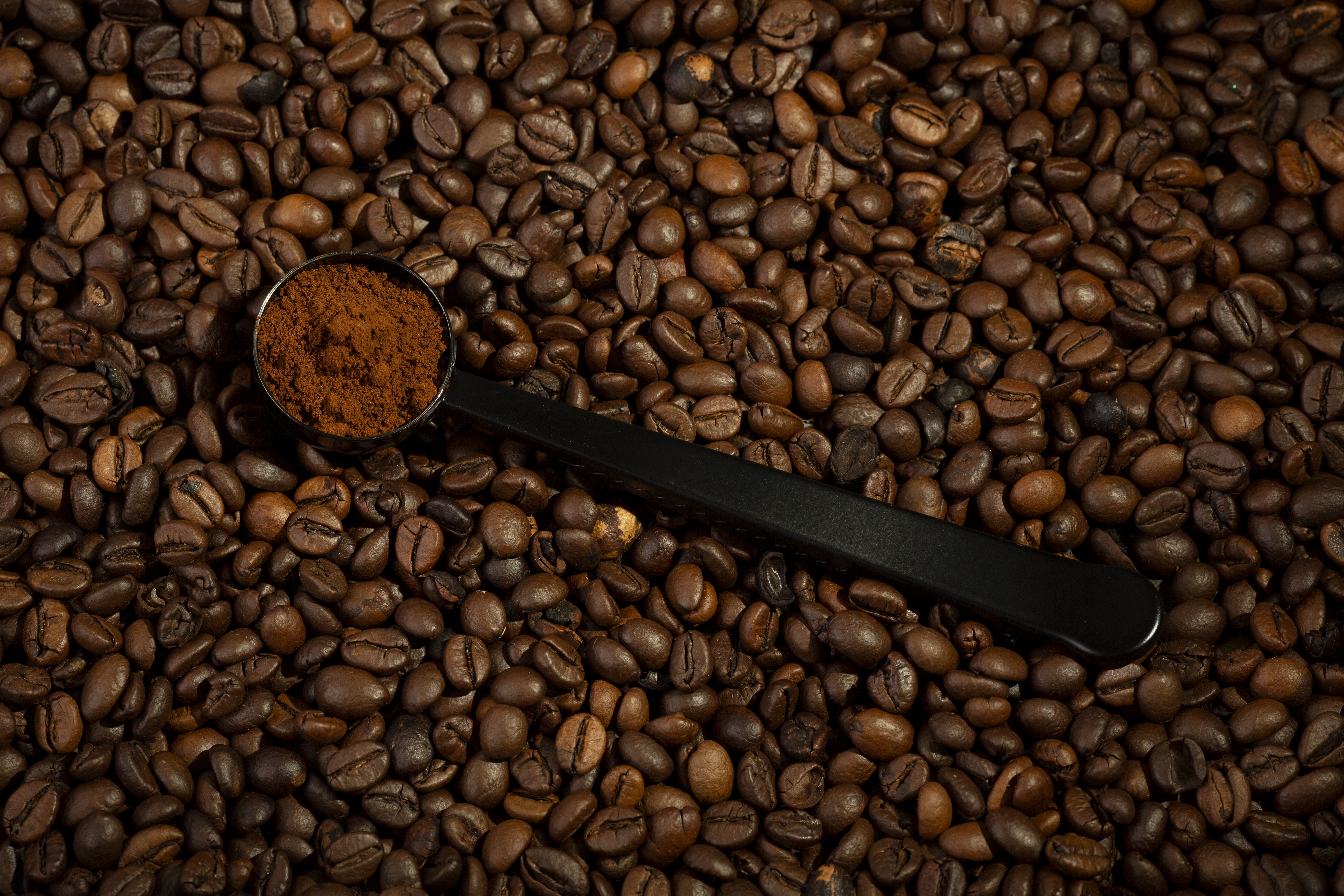 Choosing Indonesian Coffee Beans for Cafe Menus: A Simple Selection Framework