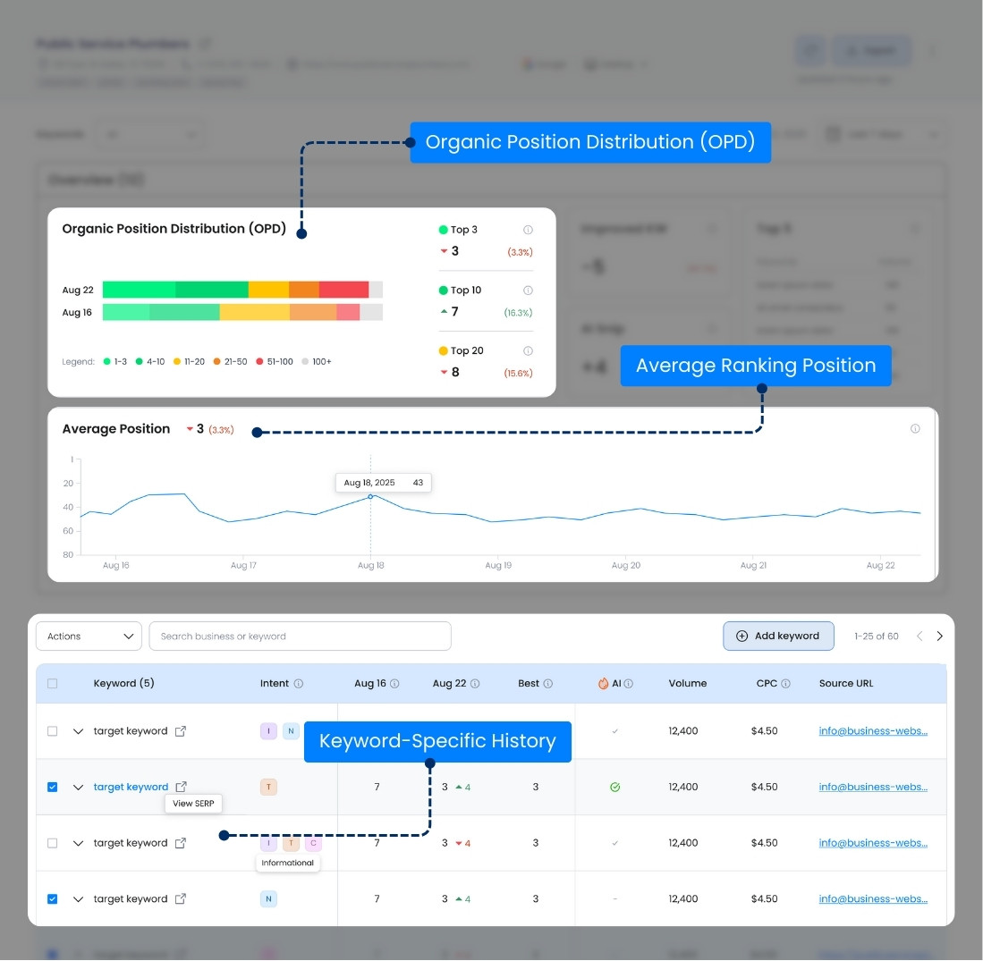 Why Your Business Needs an AI Rank Tracker and Local SEO Audit Tool