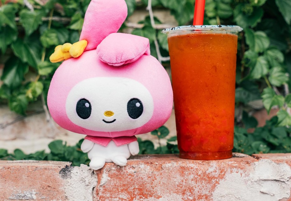 Check Out the Best Valentine's Plushies From TeeTurtle!